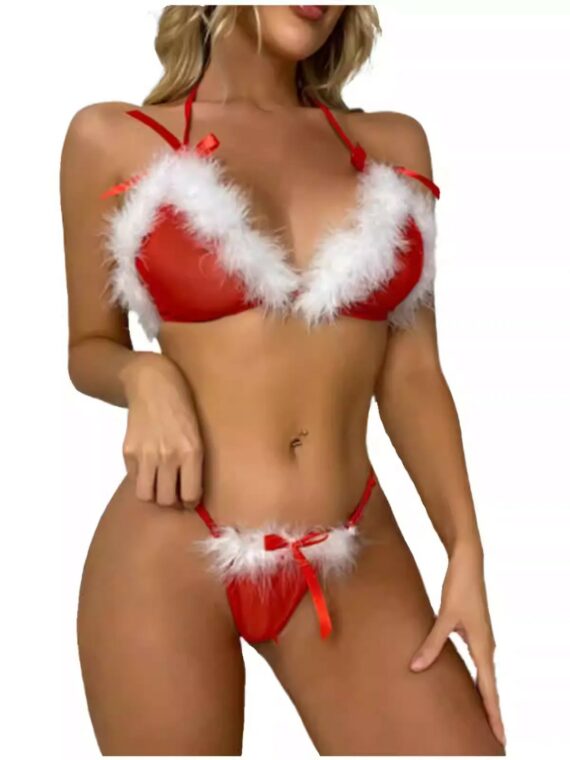 Christmas-Sexy-Backless-Bikini-Bra-Set-5